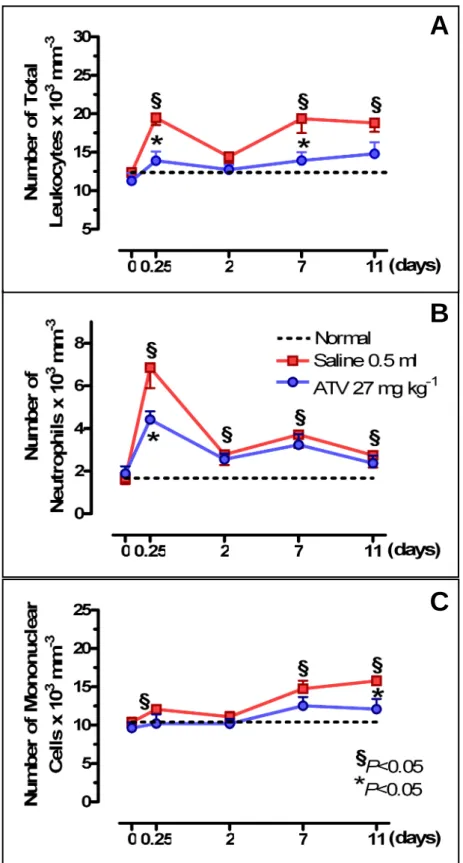 Fig. 4.  Effect of Atorvastatin (ATV) on leukocyte counts of rats. Saline (0.5 ml) or ATV (27 mg  kg -1 ) was injected orally daily for 11 d after ligature placement