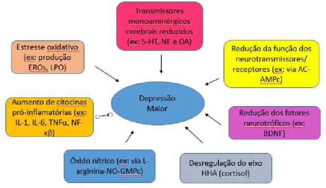 Fig. 1. Fisiopatologia da depressão