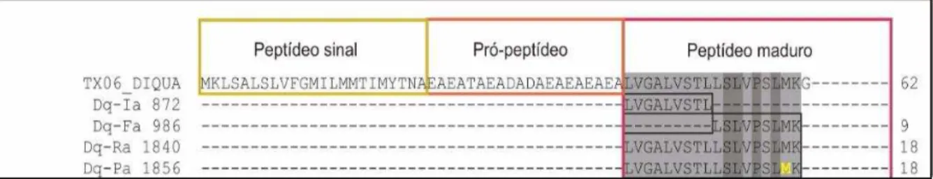 Figura  7  –   Alinhamento  do  precursor  codificado  pelo  contig  TX06_DIQUA  com  peptídeos cuja sequência foi determinada pela análise proteômica 