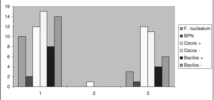 Gráfico 2. Morfotipos bacterianos identificados após C1, C2 e C3. 024681012141612 3 F