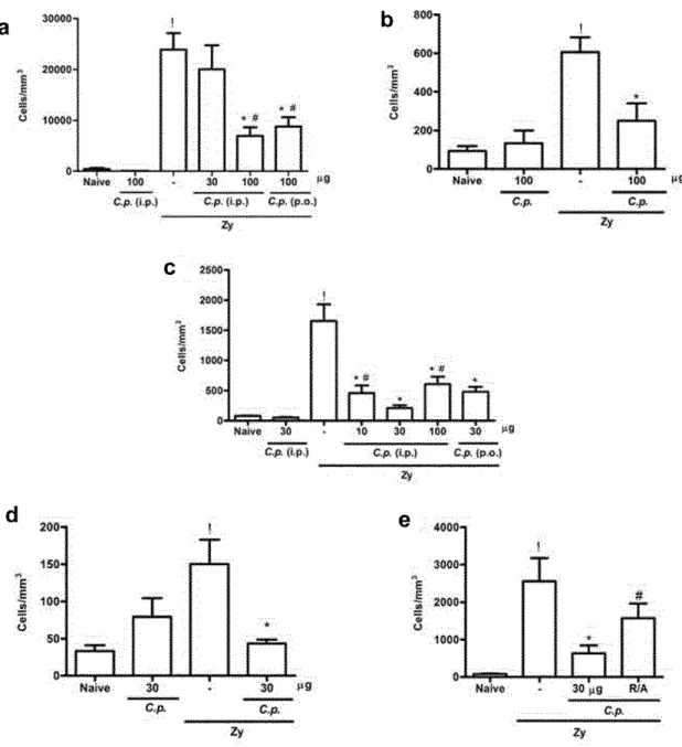 Fig. 1 Effect of the parenteral and oral administration of the C. posadasii (C.p.) extract on the cell influx in  acute and chronic zymosan-induced arthritis (ZYA) in rats and mice