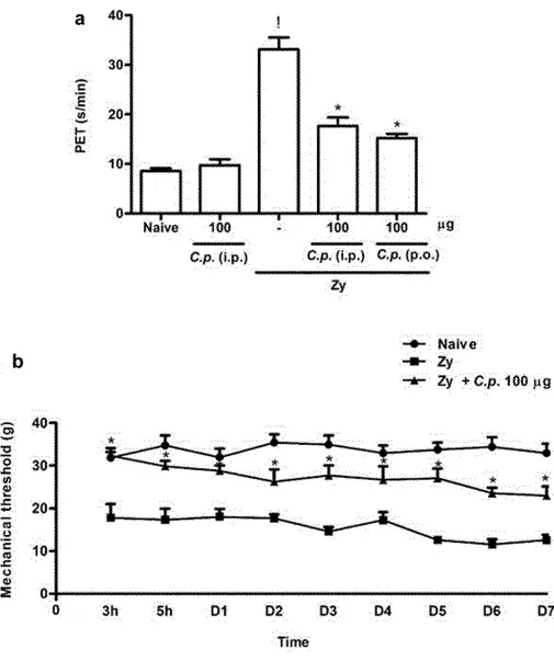 Fig. 2 Effect of the parenteral and oral administration of the C.p. extract on the hypernociception in  acute (a) or chronic (b) ZYA in rats