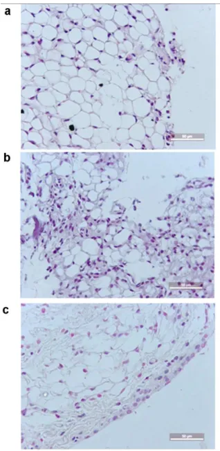 Fig. 3 Representative illustration of the synovial histopathology of mice subjected to ZYA and treated with  the  C.p