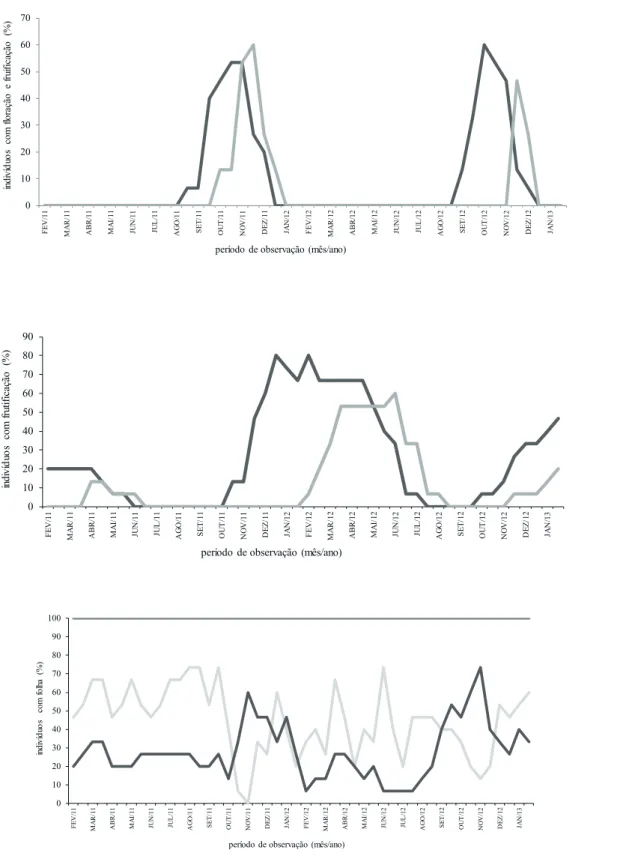 Figura 8. Porcentagem de indivíduos da população de 15 adultos de Euterpe edulis que apresentaram eventos fenológicos de floração (a), 
