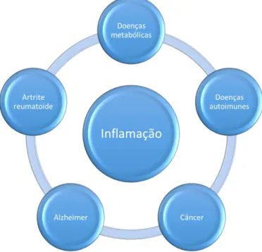 Figura  1.  Doenças  que  apresentam  o  processo  inflamatório  em  sua  etiologia.  Próprio  autor