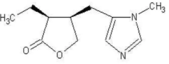 Figura 8. Estrutura química da pilocarpina 