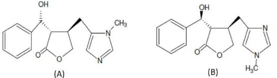 Figura 9. Estrutura química da Epiisopilosina (A) e Epiisopiloturina (B). 