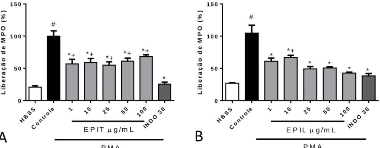 Figura 10. Efeito de EPIT (A) e EPIL (B) sobre a degranulação neutrofílica induzida por  PMA determinada pela liberação da mieloperoxidase