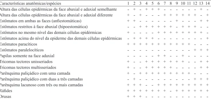 Tabela 2. Principais diferenças anatômicas da lâmina foliar, região do mesofilo, das espécies de Rubiaceae estudadas