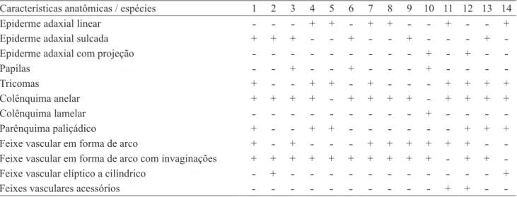 Tabela 3. Principais diferenças anatômicas da lâmina foliar, região da nervura central, das espécies de Rubiaceae estudadas