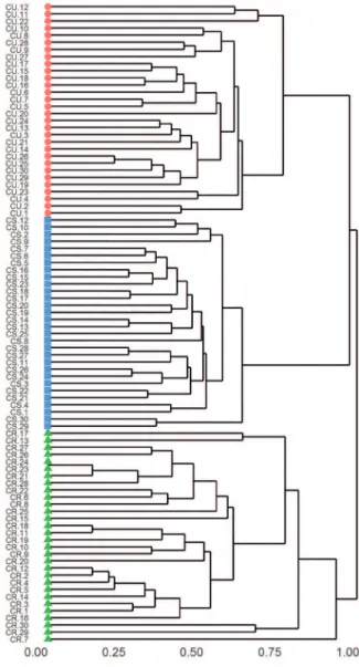 Figura 3. Dendrograma da análise de agrupamento UPGMA com  índice de similaridade de Sorensen para as espécies amostradas em  três fitofisionomias campestres do Parque Estadual de Vila Velha,  Ponta Grossa, Paraná