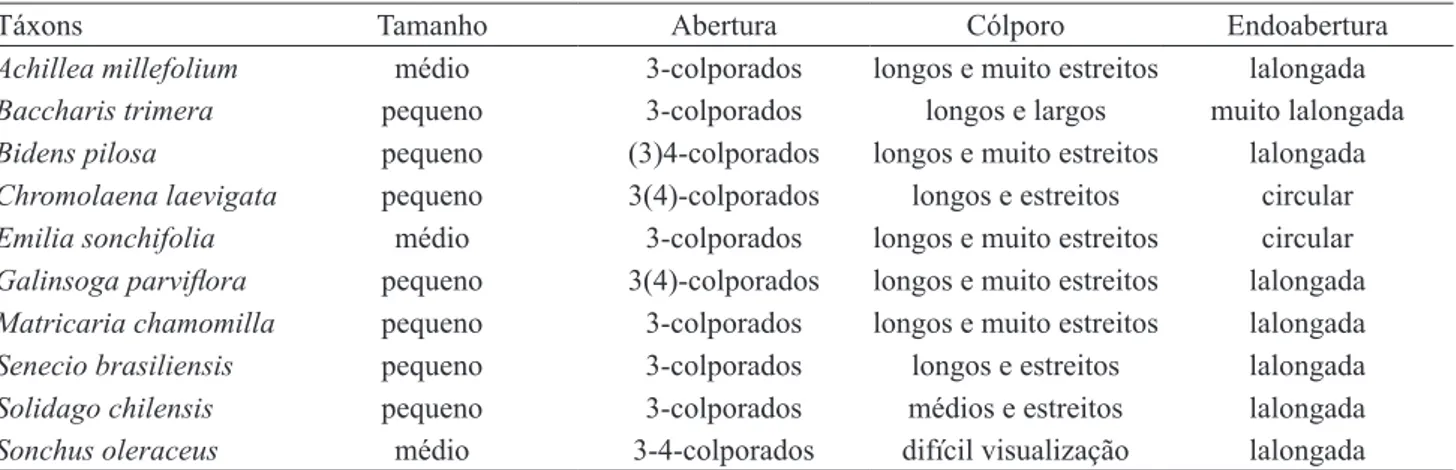 Tabela 1. Caracterização morfológica geral dos grãos de pólen das espécies medicinais de Asteraceae ocorrentes em Campos  Gerais, Ponta Grossa, PR, Brasil.