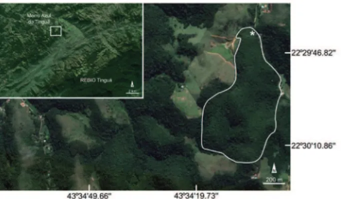Figura 1. Mapa de localização do Instituto Zoobotânico de Morro  Azul (IZMA), Engenheiro Paulo de Frontin, RJ, Brasil