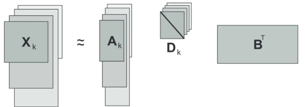 Figure 5: Parafac2 pictorical representation.