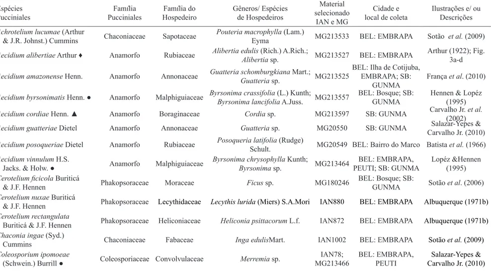 Tabela 2.  Espécies de fungos causadores de ferrugens coletadas na Região Metropolitana de Belém, PA, Brasil