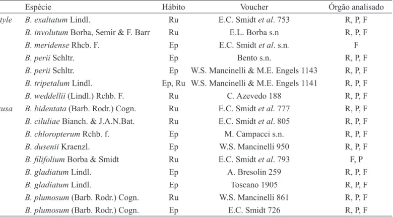 Tabela 1. Lista das espécies de Bulbophyllum sect. Ditactyle e B. sect. Xiphizusa, com respectivos dados de hábito, voucher  e órgão analisado