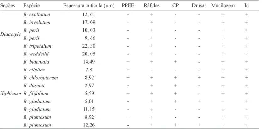 Tabela 3. Presença de cristais, idioblastos e estrutura da epiderme do pseudobulbo das espécies de Bulbophyllum sect