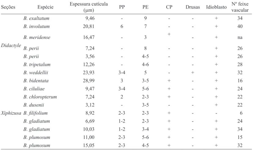 Tabela 4 - Presença de cristais, estrutura e organização dos tecidos na lâmina foliar das espécies de Bulbophyllum sect