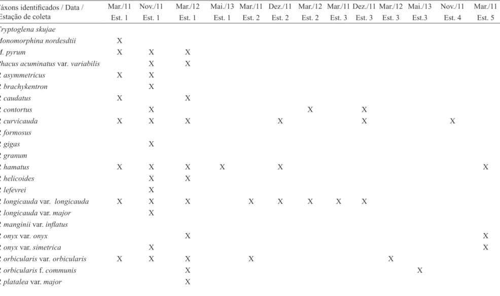 Tabela 2. Distribuição de Cryptoglena, Monomorphina e Phacus encontrados nas estações de amostragem (E1-E10) na Área de Proteção Ambiental do rio Ibirapuitã,  Estado do Rio Grande do Sul