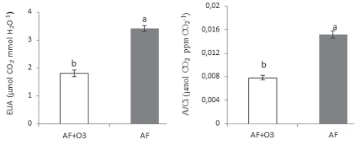 Figura 2. Eficiência instantânea de uso da água (EUA, µmol CO 2