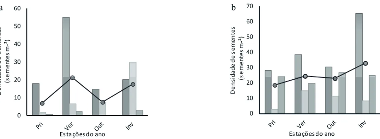 Figura 1. Densidade de sementes por metro quadrado de amostras na chuva (a) e no banco de sementes (b) ao longo de 2012, apresentadas  de acordo com sua classe sucessional