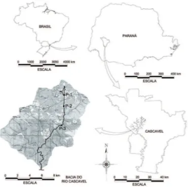Figura 1. Localização do rio Cascavel, no município de Cascavel,  PR, Brasil, com as três estações de amostragem: Estação 1 (P1),  Estação 2 (P2) e Estação 3 (P3).