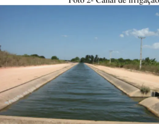 Foto 2- Canal de irrigação 