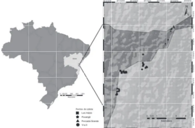 Figura 1. Localização da Reserva Ecológica Michelin no Estado  da Bahia, Brasil e dos pontos de coleta nos quatro fragmentos de  Floresta Atlântica.