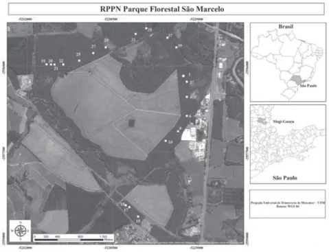 Figura 1. Representação da RPPN Parque Florestal São Marcelo, inserida no município de Mogi-Guaçu, SP, Brasil