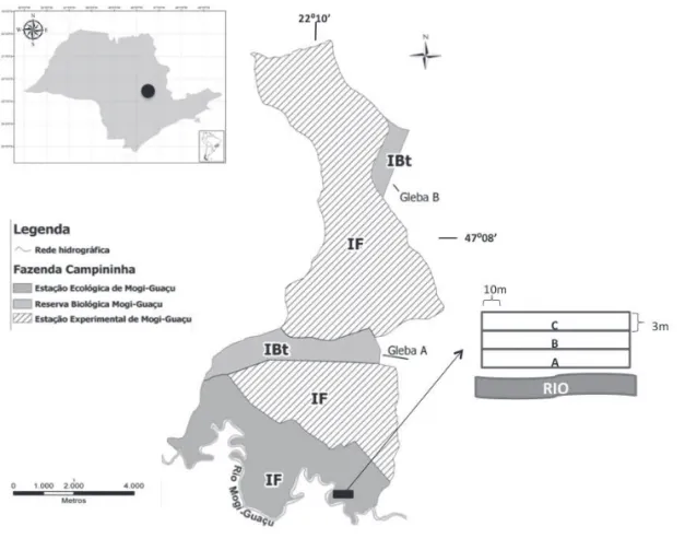 Figura 1. Localização da área de estudo alocadas na Estação Ecológica da Fazenda Campininha, Mogi Guaçu, SP, Brasil