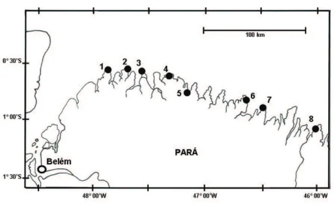 Figura 1. Localização da área estudada nas restingas do litoral do Estado do Pará, Brasil