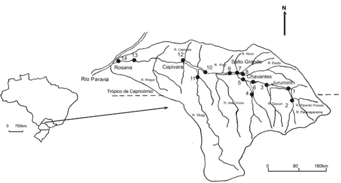 Figura 1. Localização das estações de amostragem nos reservatórios em cascata do rio Paranapanema, SP/PR, Brasil (modificado de  Nogueira et al