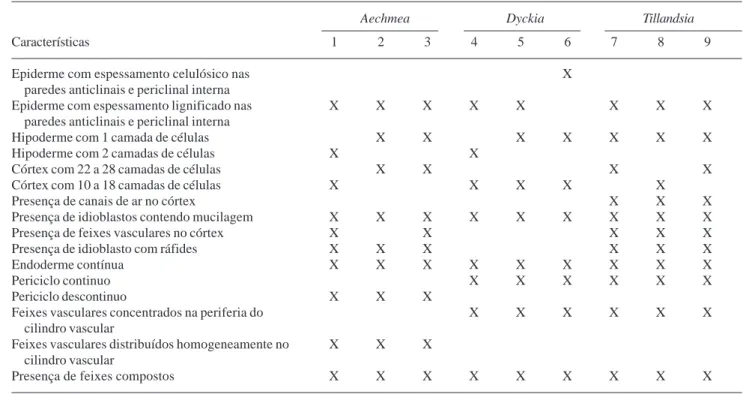 Table 1. Anatomical characters of scapes of Bromeliaceae: 1 = Aechmea bromeliifolia; 2 = A