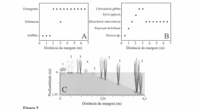 Figura 5. A. Presença das formas de vida ao longo da transecção. B. Espécies dominantes ao longo da transecção