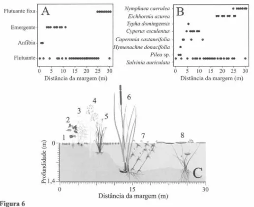 Figura 6. A. Presença das formas de vida ao longo da transecção. B. Espécies dominantes ao longo da transecção