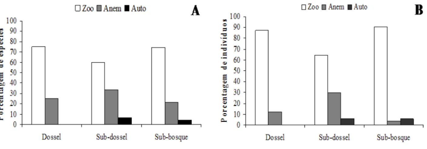 Figura 3. Proporção de espécies (A) e indivíduos (B) por síndromes de dispersão de sementes nos diferentes estratos da vegetação  amostrada na floresta ciliar do rio Araguari em Uberlândia, MG.