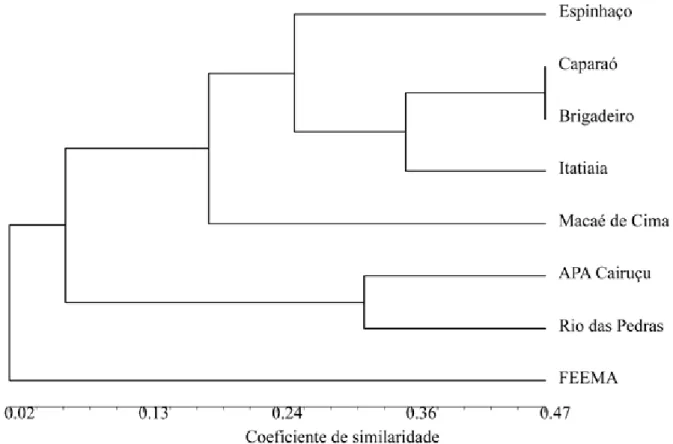 Figura 4. Dendrograma obtido da análise de similaridade entre Itatiaia, cadeia do espinhaço, serra do caparaó, serra do brigadeiro,  Macaé de cima, FeeMA, cairuçu e rio das Pedras, através de uPGMA.