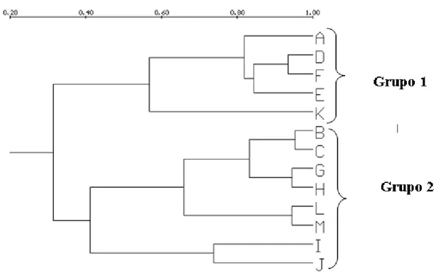 Figure 30. Dendrogram generated from the data listed in Tables 1 and 2. Species are represented by letters: A = Cleistes gracilis; B = Epidendrum secundum, C = Epidendrum xanthinum, D = Habenaria hydrophila, E = Habenaria janeirensis, F = Habenaria macrone