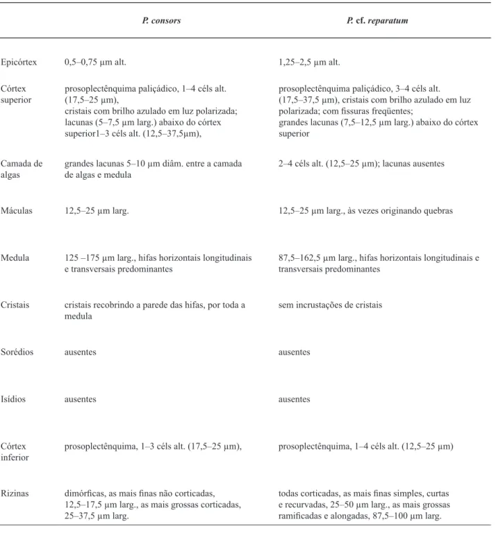 Table 2. Main anatomical features of the Parmotrema specimens studied.