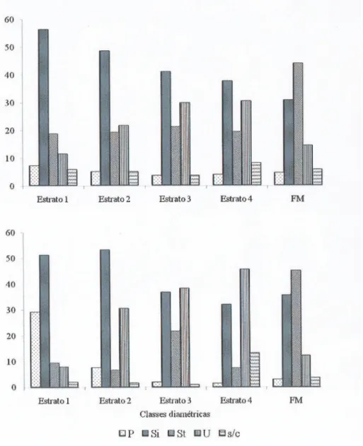 Figura 1. Porcentagem de espécies (a) e de indivíduos (b) por categorias sucessionais, nos estratos 1, 2, 3 e 4 do componente arbustivo- arbustivo--arbóreo da floresta em estádio médio e do componente arbóreo da floresta em estádio avançado de regeneração 