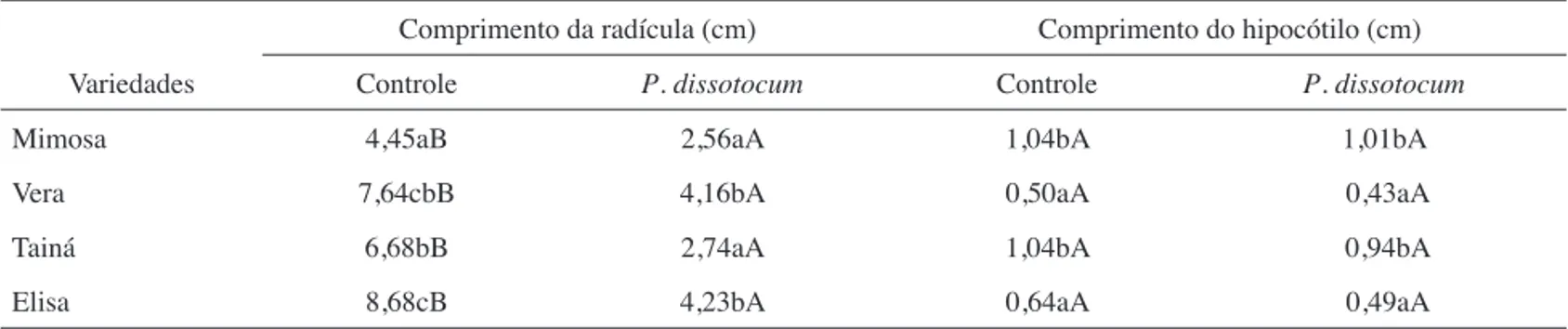 Tabela 2. Avaliação patogênica in vitro de Pythium dissotocum em 26 ºC. Table 2. Pathogenic evaluation in vitro of Pythium dissotocum at 26 ºC.