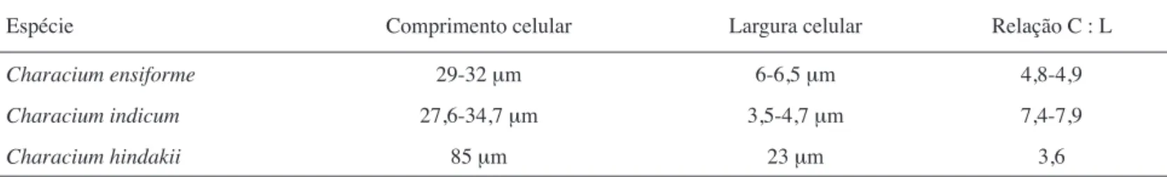 Table 1. Comparison of cell length and breadth measurements and the cell length-breadth ratio of Characium ensiforme, C