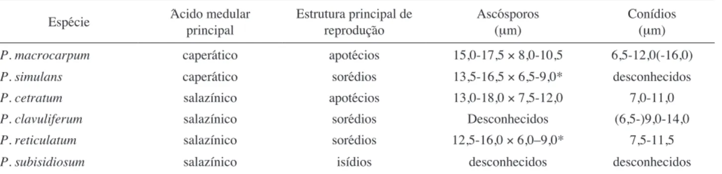 Tabela  1. Comparação entre as espécies de Parmotrema com máculas reticulares coletadas.