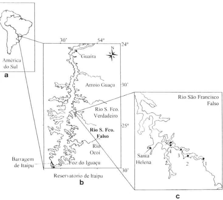 Figura 1. Mapa da área de estudo (a), Reservatório de Itaipu (b) e localização das estações de coleta (c) no rio São Francisco Falso,  Paraná, Brasil.