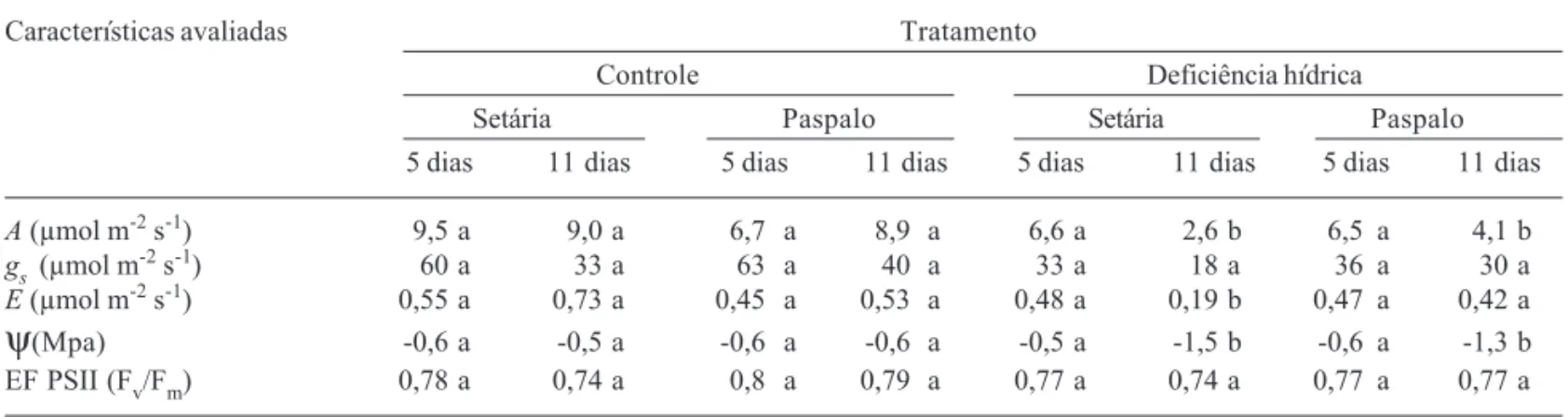Tabela 2. Características ecofisiológicas de Setaria anceps (setária) e Paspalum paniculatum (paspalo) em plantas controle e plantas submetidas a 5 e 11 dias de deficiência hídrica.