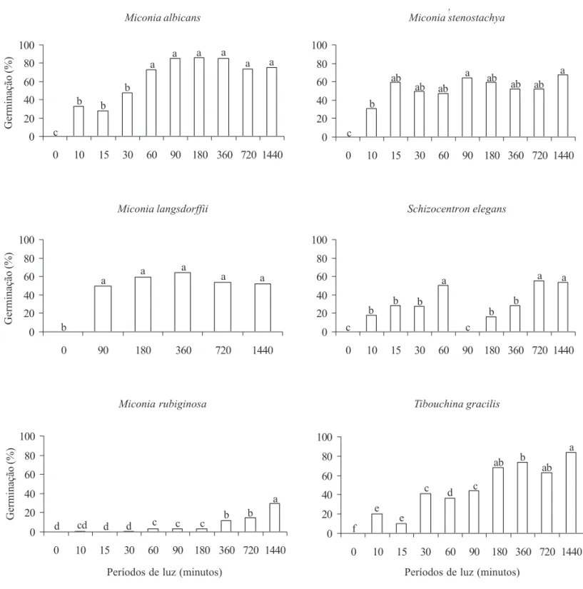 Figura 1. Germinação de sementes de Miconia albicans,  M. langsdorffii,  M. rubiginosa,  M