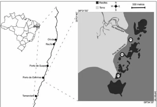 Figura 1 – O ecossistema recifal de Serrambi: mapa da área de estudo com os pontos de coleta