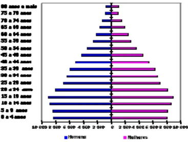 GRÁFICO 6: Pirâmide Etária Absoluta - 2000 