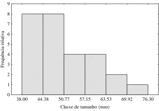 FIGURA  4  -  Distribuição  das  frequências  por  classe  de  tamanho  de  Astyanax  bimaculatus  no  rio  Curu,  Pentecoste - Ceará