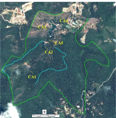 Figura 2 - Mapa do Sitío Guaramiranga (linha verde) mostrando as trilhas onde o estudo foi desenvolvido (linhas  azuis) e os corpos d’água (CA) presentes na área de estudo